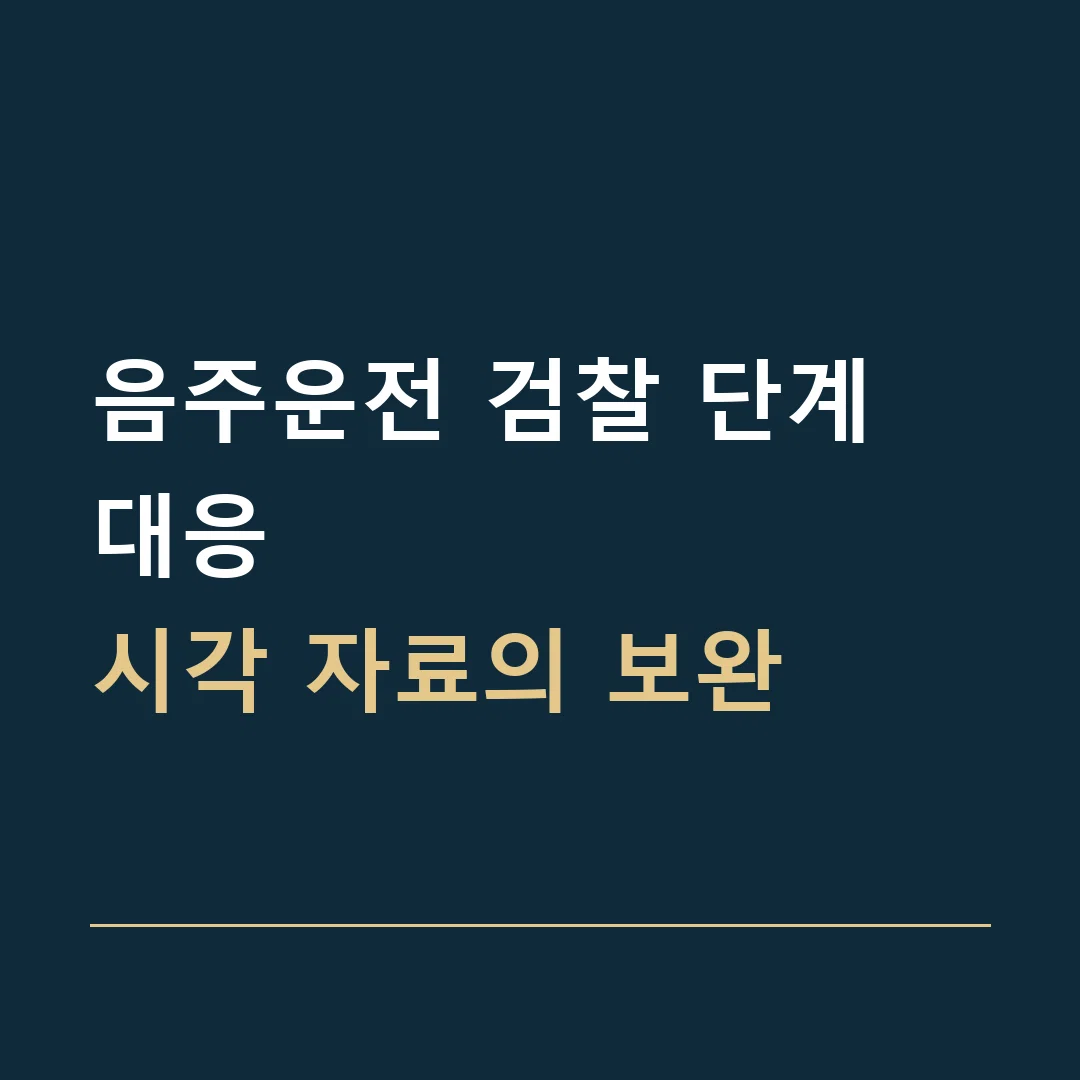 음주운전 검찰 단계 대응 · 시각 자료의 보완