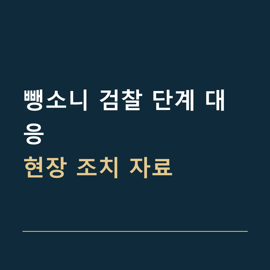 뺑소니 검찰 단계 대응 · 현장 조치 자료