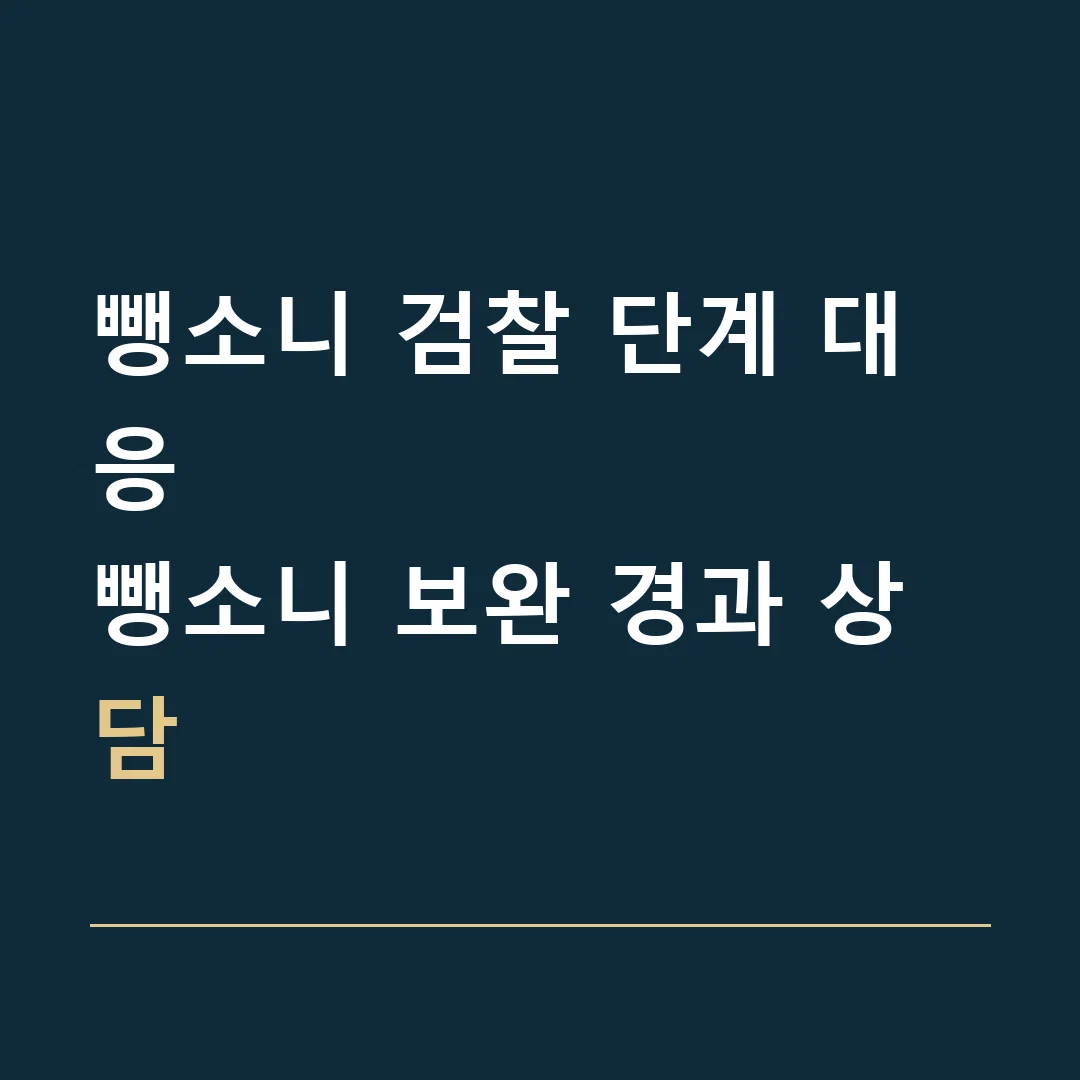 뺑소니 검찰 단계 대응 · 뺑소니 보완 경과 상담