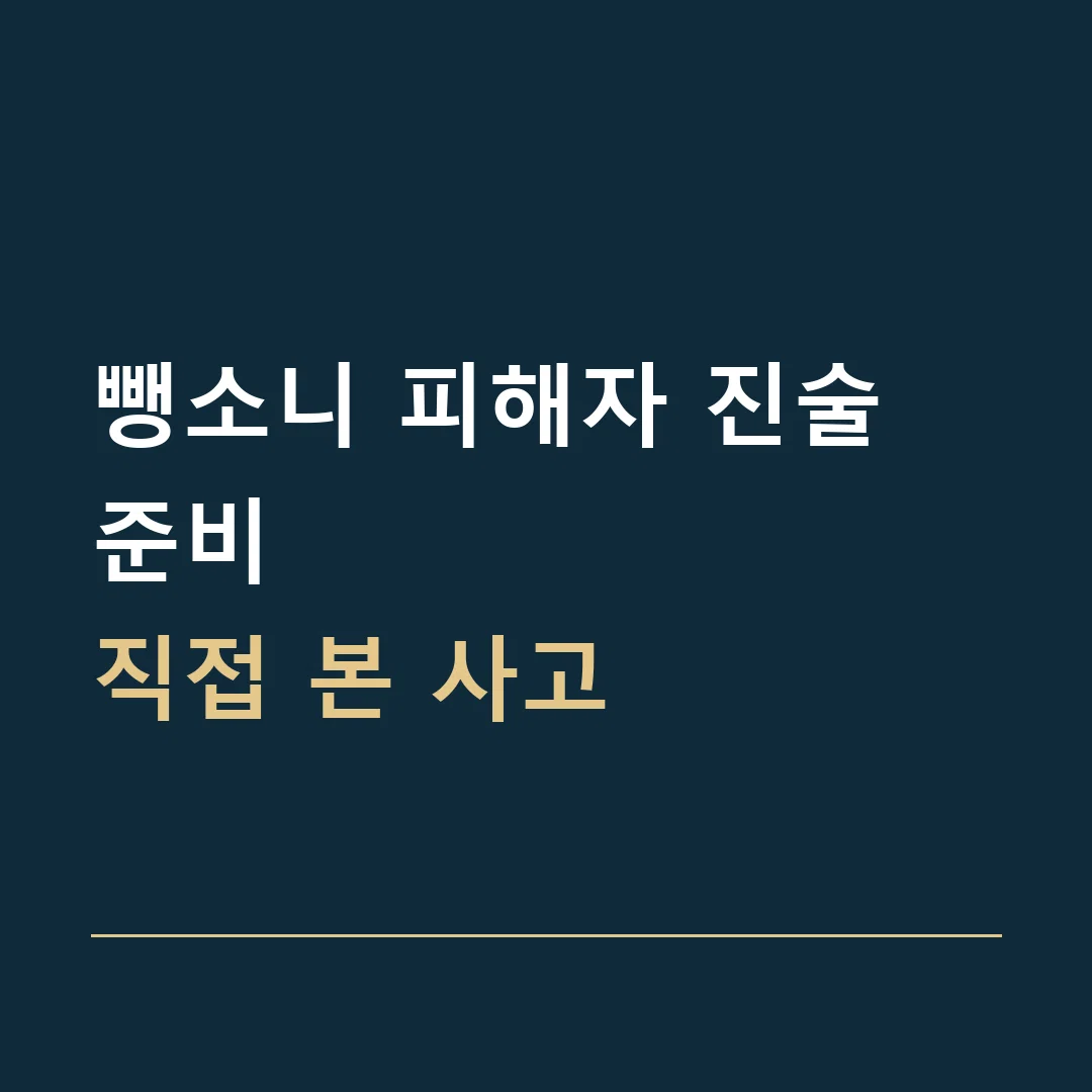 뺑소니 피해자 진술 준비 · 직접 본 사고