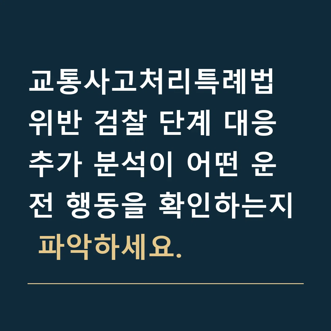 교통사고처리특례법 위반 검찰 단계 대응 · 추가 분석이 어떤 운전 행동을 확인하는지 파악하세요.