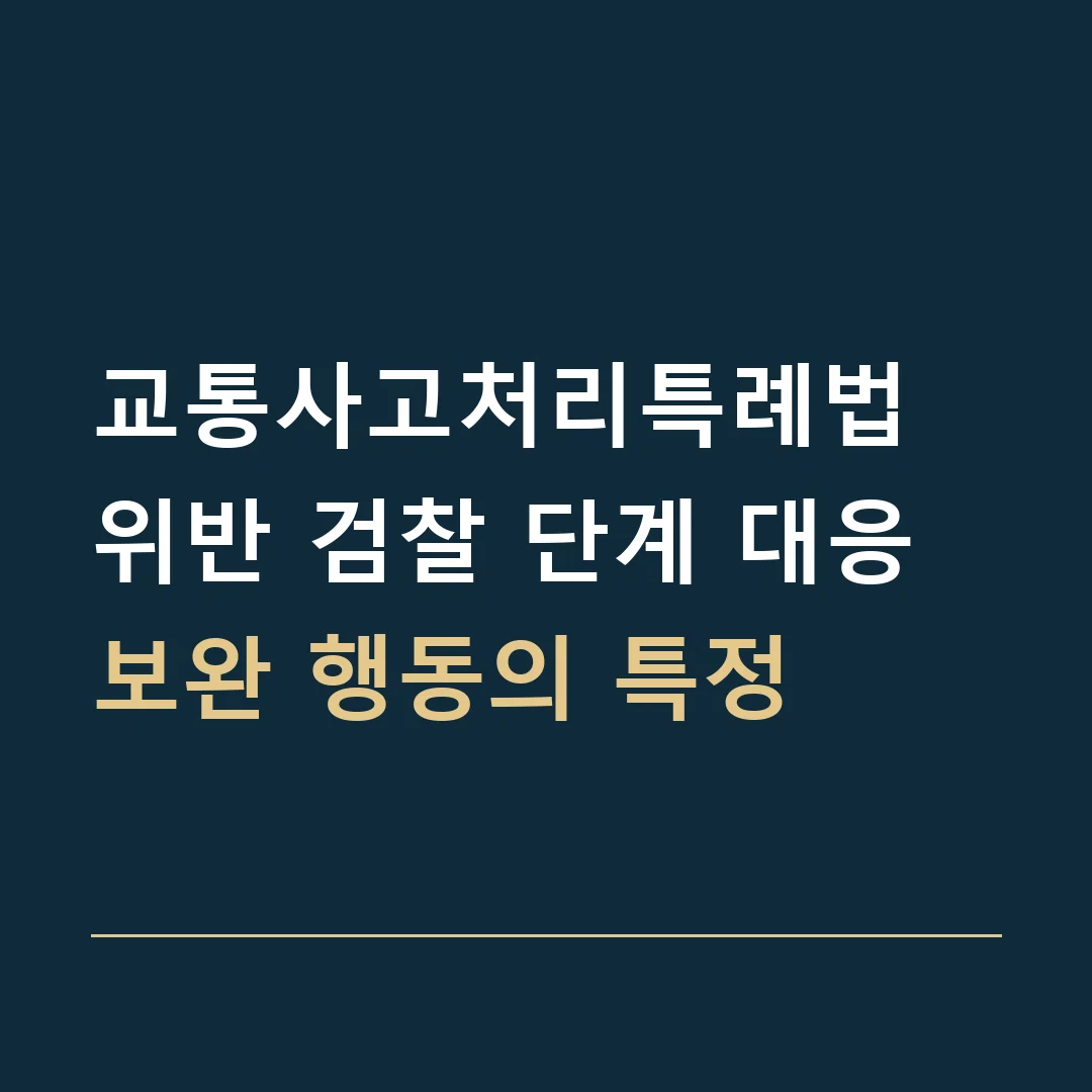 교통사고처리특례법 위반 검찰 단계 대응 · 보완 행동의 특정