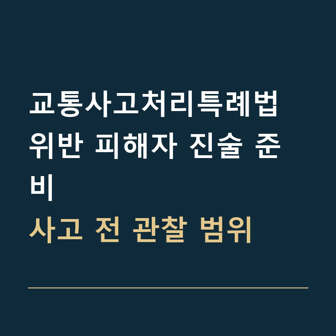 교통사고처리특례법 위반 피해자 진술 준비 · 사고 전 관찰 범위