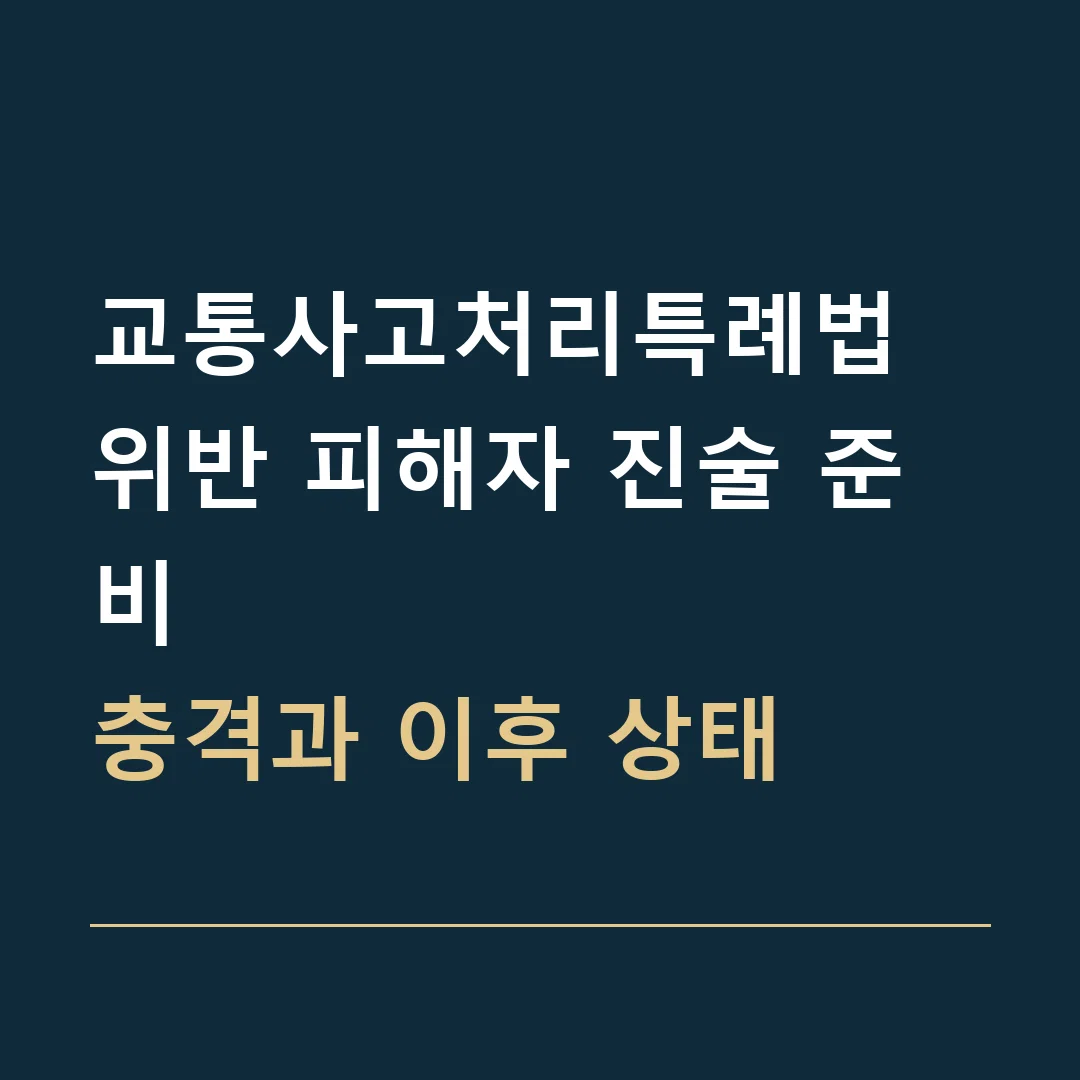 교통사고처리특례법 위반 피해자 진술 준비 · 충격과 이후 상태