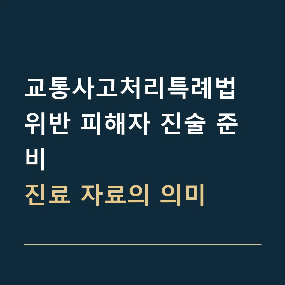 교통사고처리특례법 위반 피해자 진술 준비 · 진료 자료의 의미