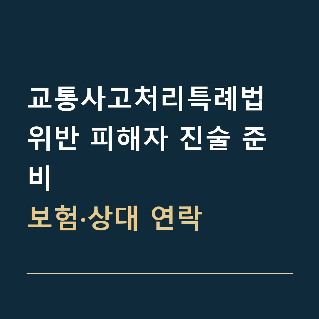 교통사고처리특례법 위반 피해자 진술 준비 · 보험·상대 연락