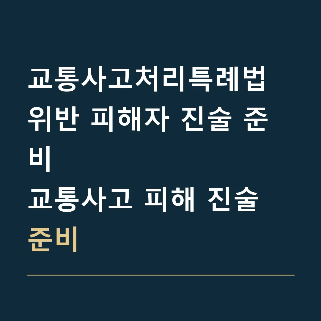 교통사고처리특례법 위반 피해자 진술 준비 · 교통사고 피해 진술 준비