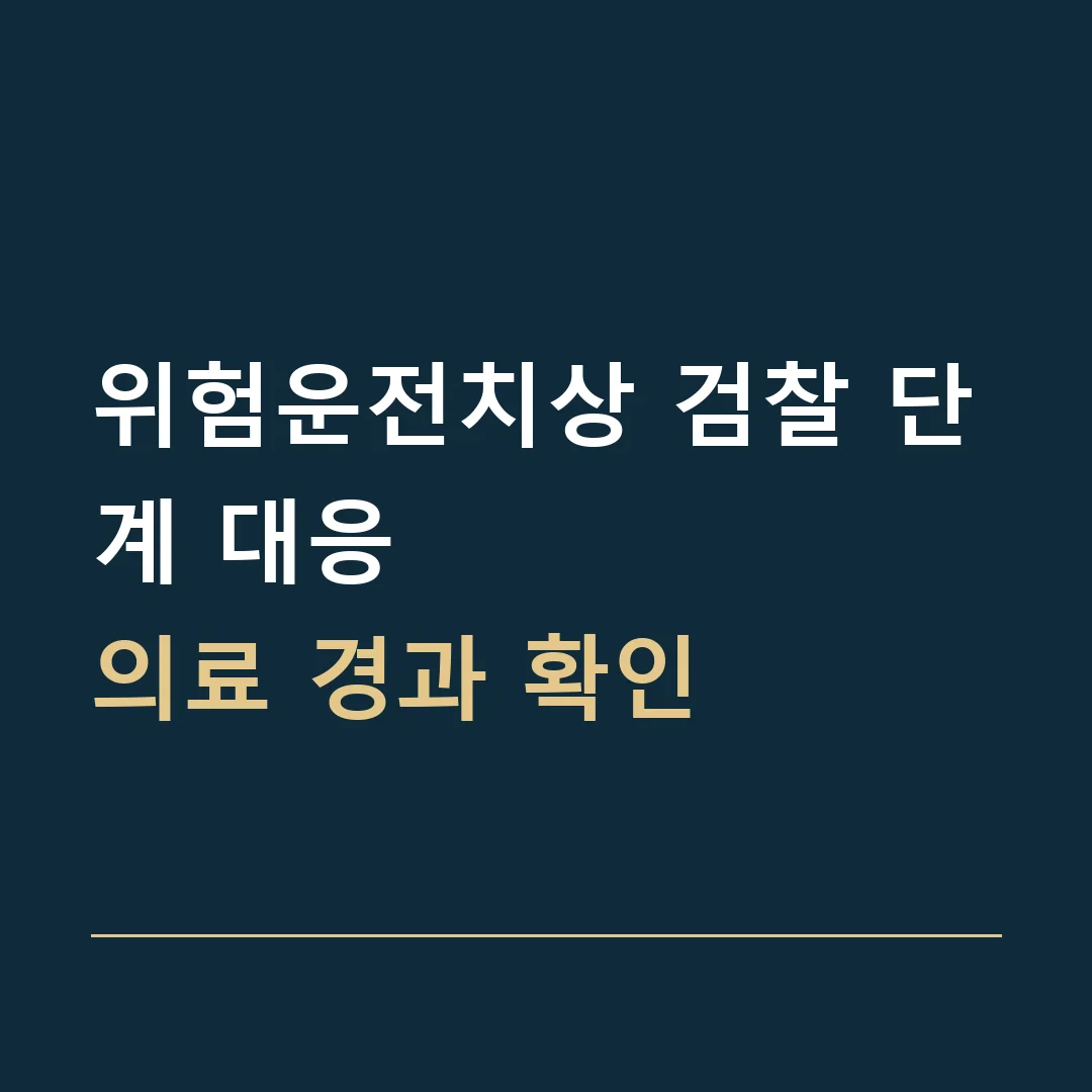 위험운전치상 검찰 단계 대응 · 의료 경과 확인