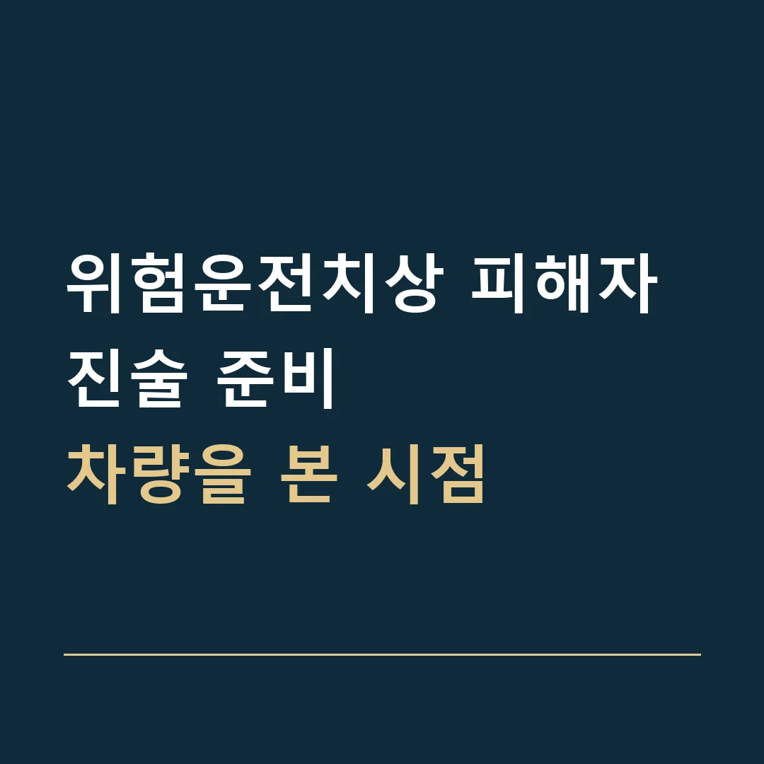 위험운전치상 피해자 진술 준비 · 차량을 본 시점
