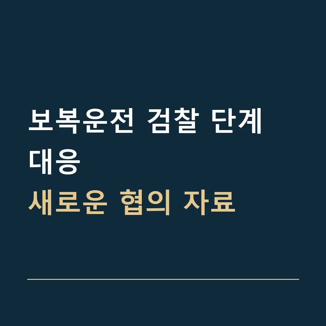 보복운전 검찰 단계 대응 · 새로운 협의 자료