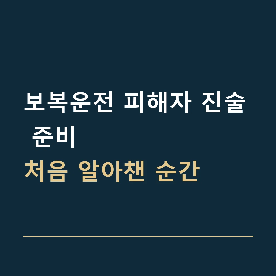 보복운전 피해자 진술 준비 · 처음 알아챈 순간