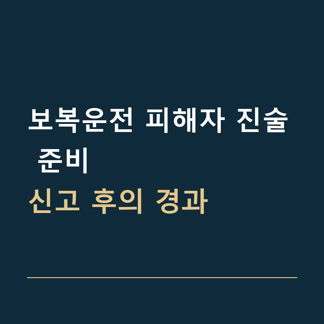 보복운전 피해자 진술 준비 · 신고 후의 경과