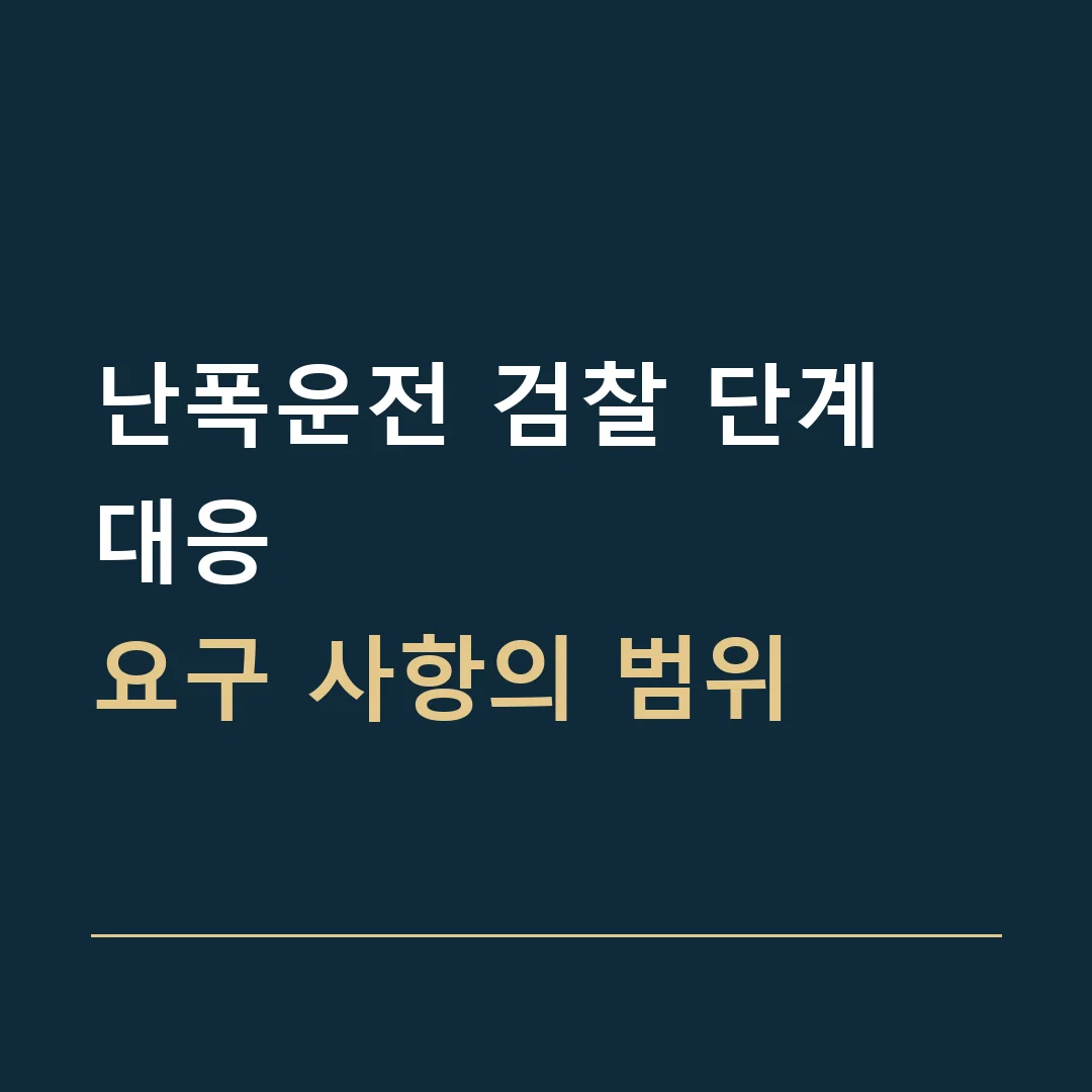 난폭운전 검찰 단계 대응 · 요구 사항의 범위