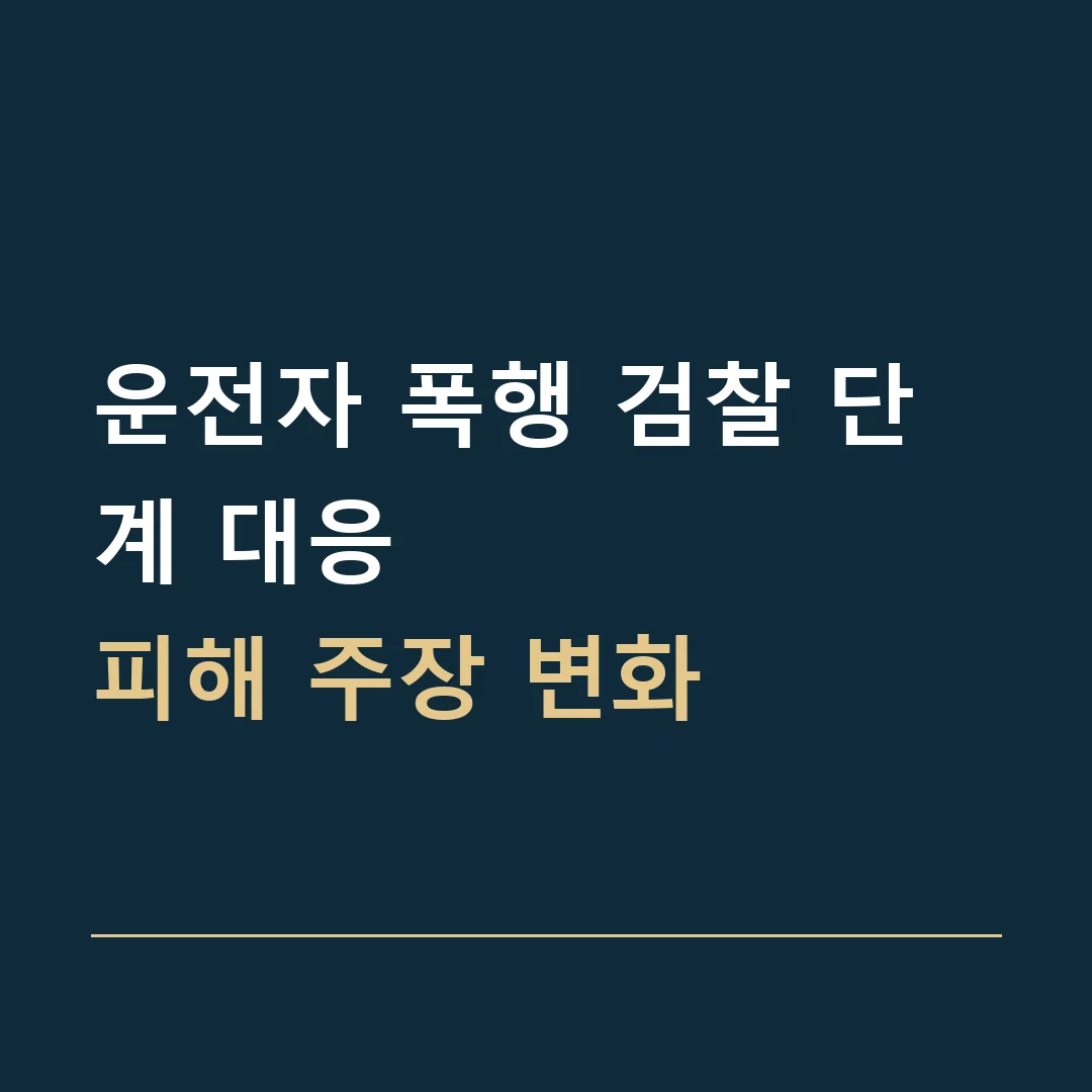 운전자 폭행 검찰 단계 대응 · 피해 주장 변화