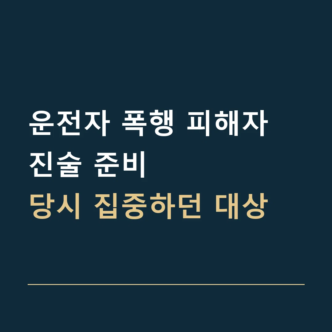 운전자 폭행 피해자 진술 준비 · 당시 집중하던 대상