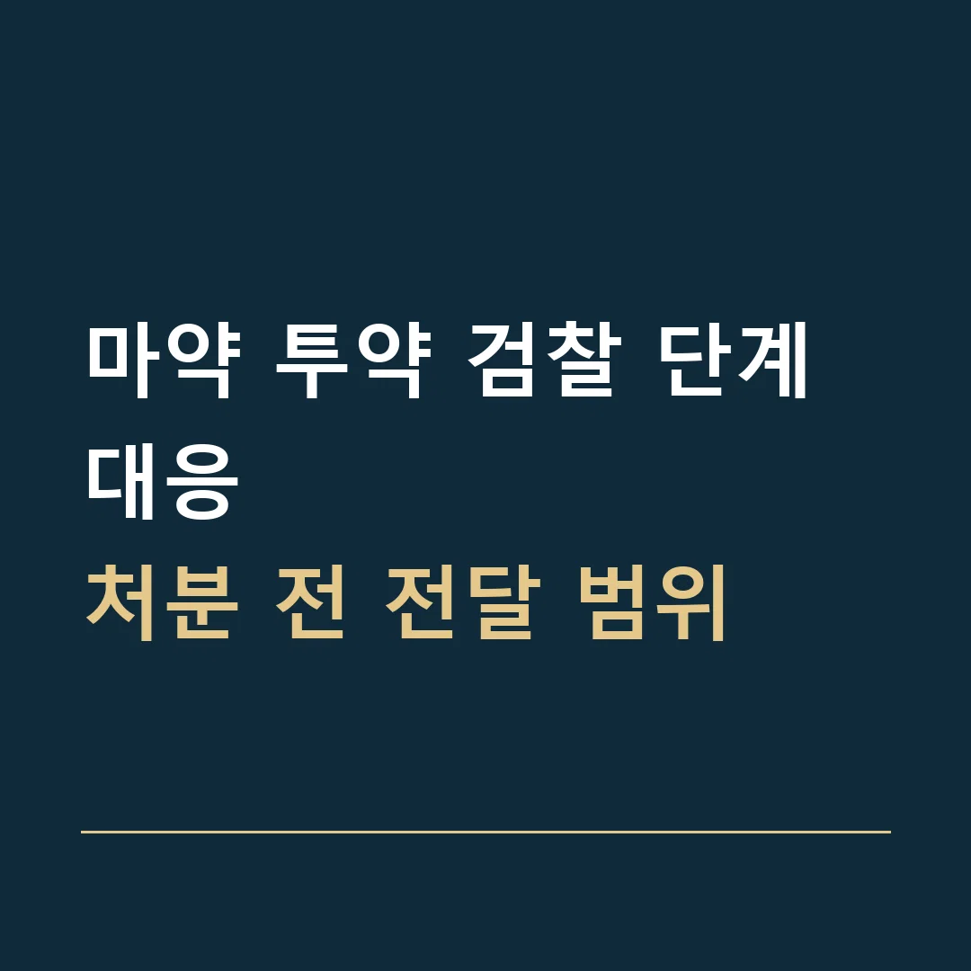 마약 투약 검찰 단계 대응 · 처분 전 전달 범위