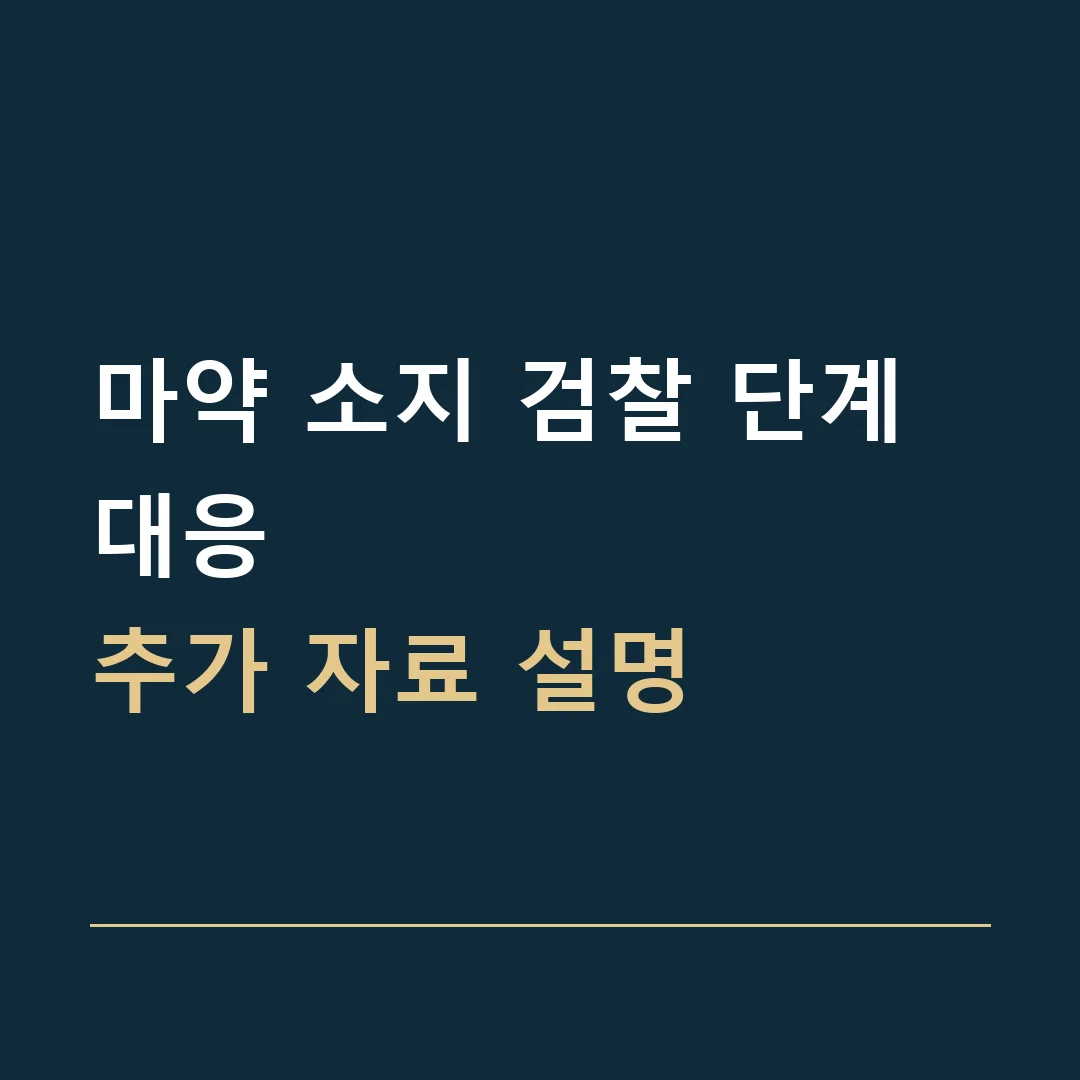 마약 소지 검찰 단계 대응 · 추가 자료 설명