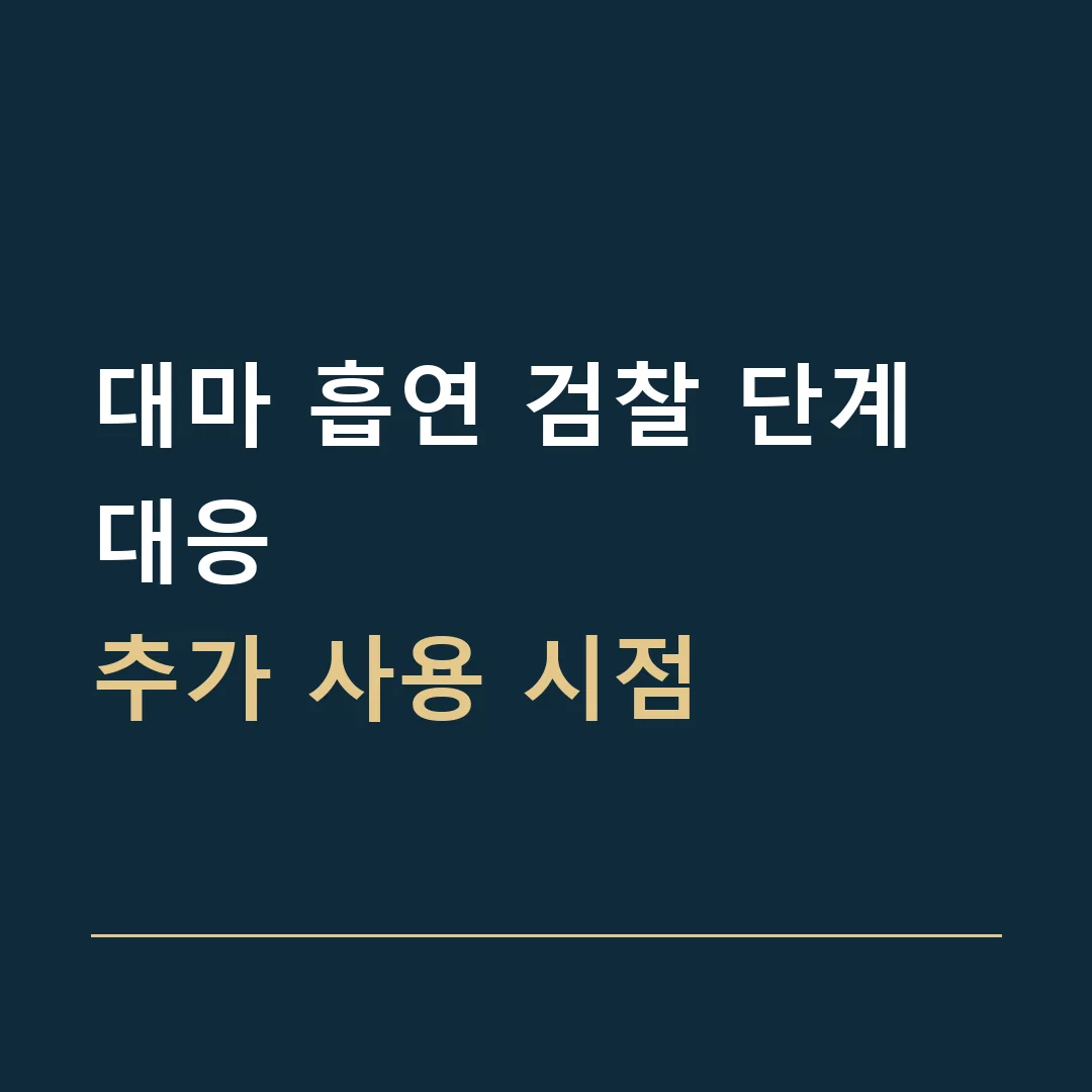 대마 흡연 검찰 단계 대응 · 추가 사용 시점