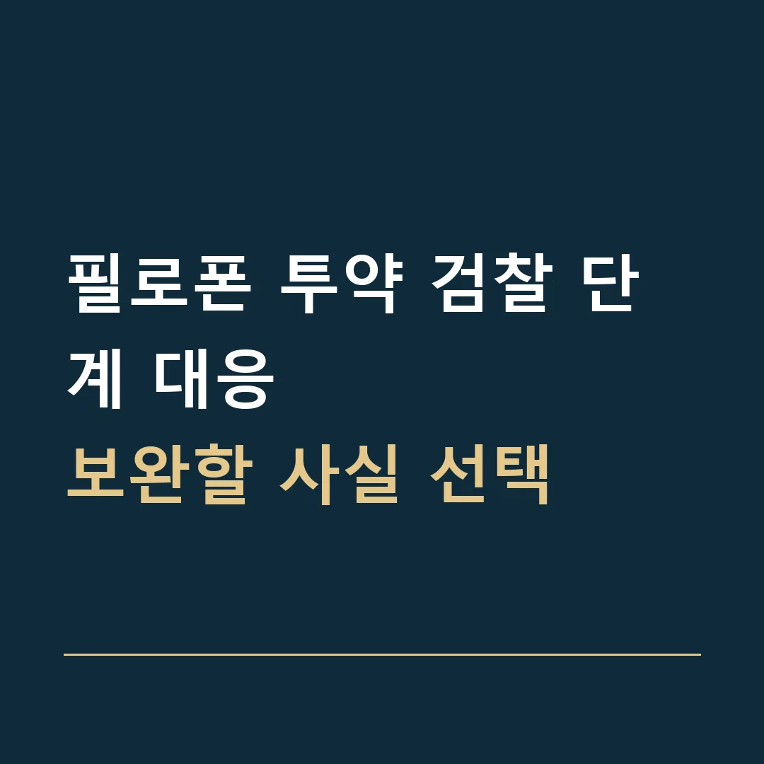 필로폰 투약 검찰 단계 대응 · 보완할 사실 선택