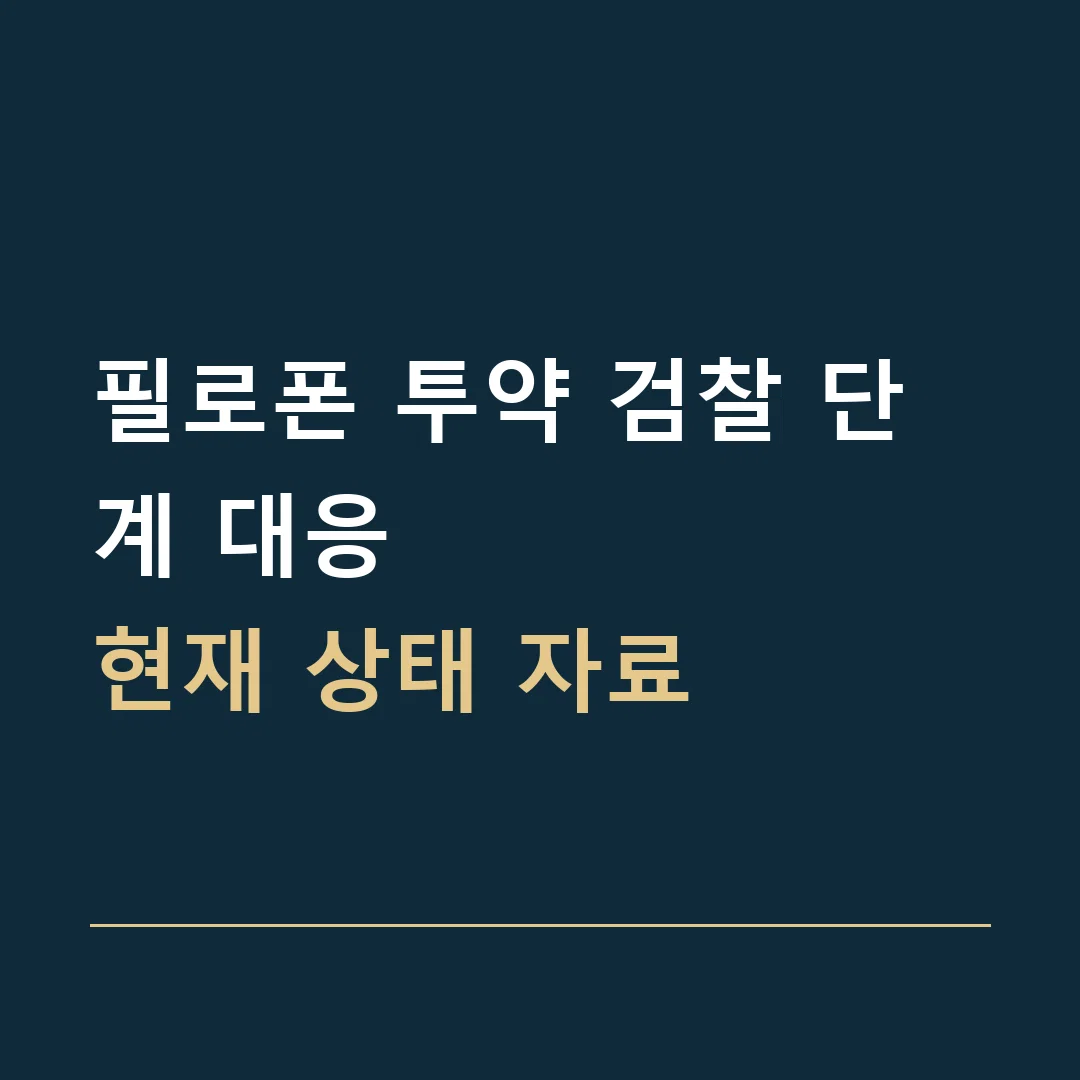 필로폰 투약 검찰 단계 대응 · 현재 상태 자료