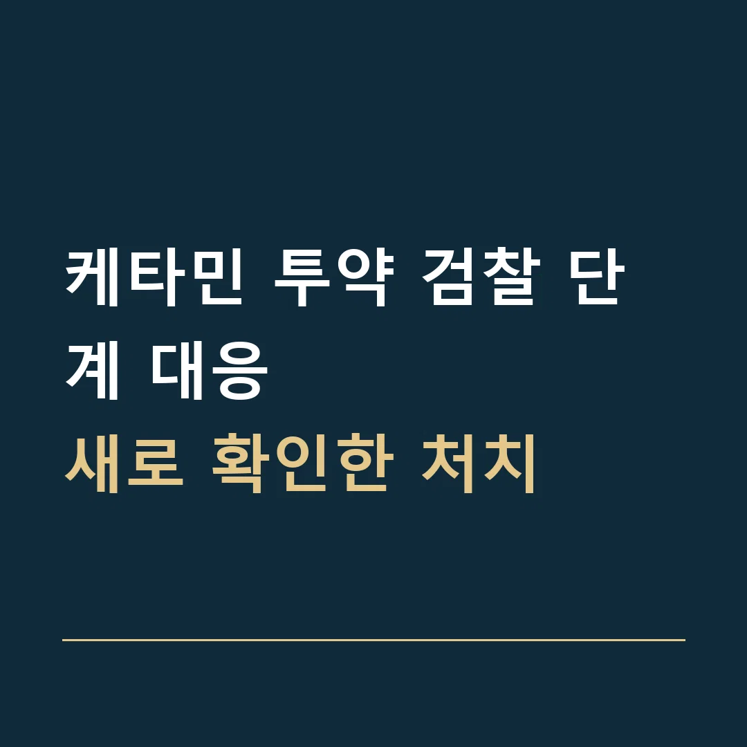 케타민 투약 검찰 단계 대응 · 새로 확인한 처치