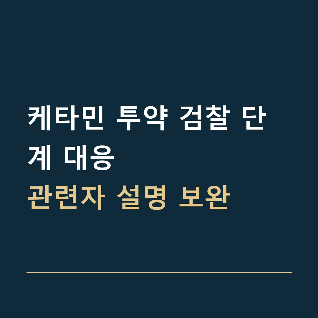 케타민 투약 검찰 단계 대응 · 관련자 설명 보완