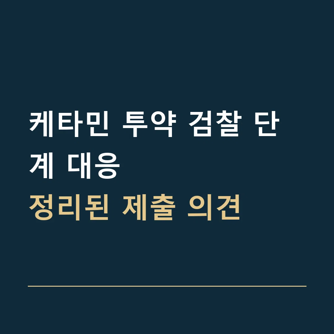 케타민 투약 검찰 단계 대응 · 정리된 제출 의견