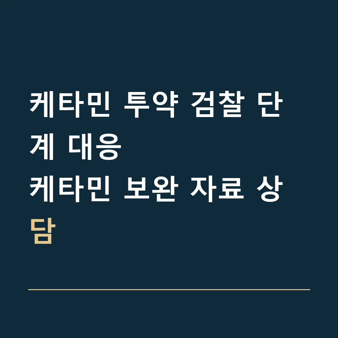 케타민 투약 검찰 단계 대응 · 케타민 보완 자료 상담