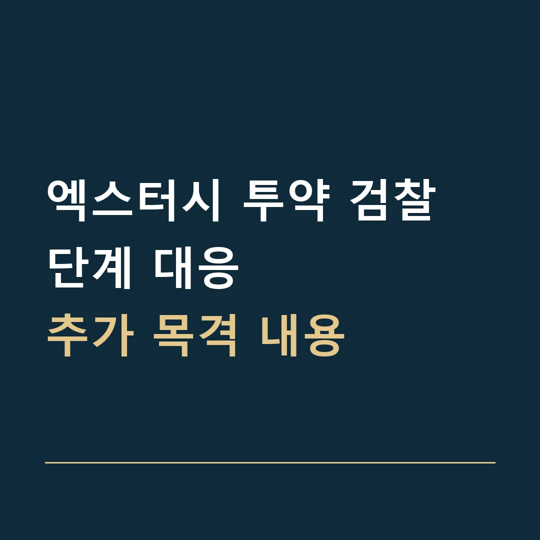 엑스터시 투약 검찰 단계 대응 · 추가 목격 내용