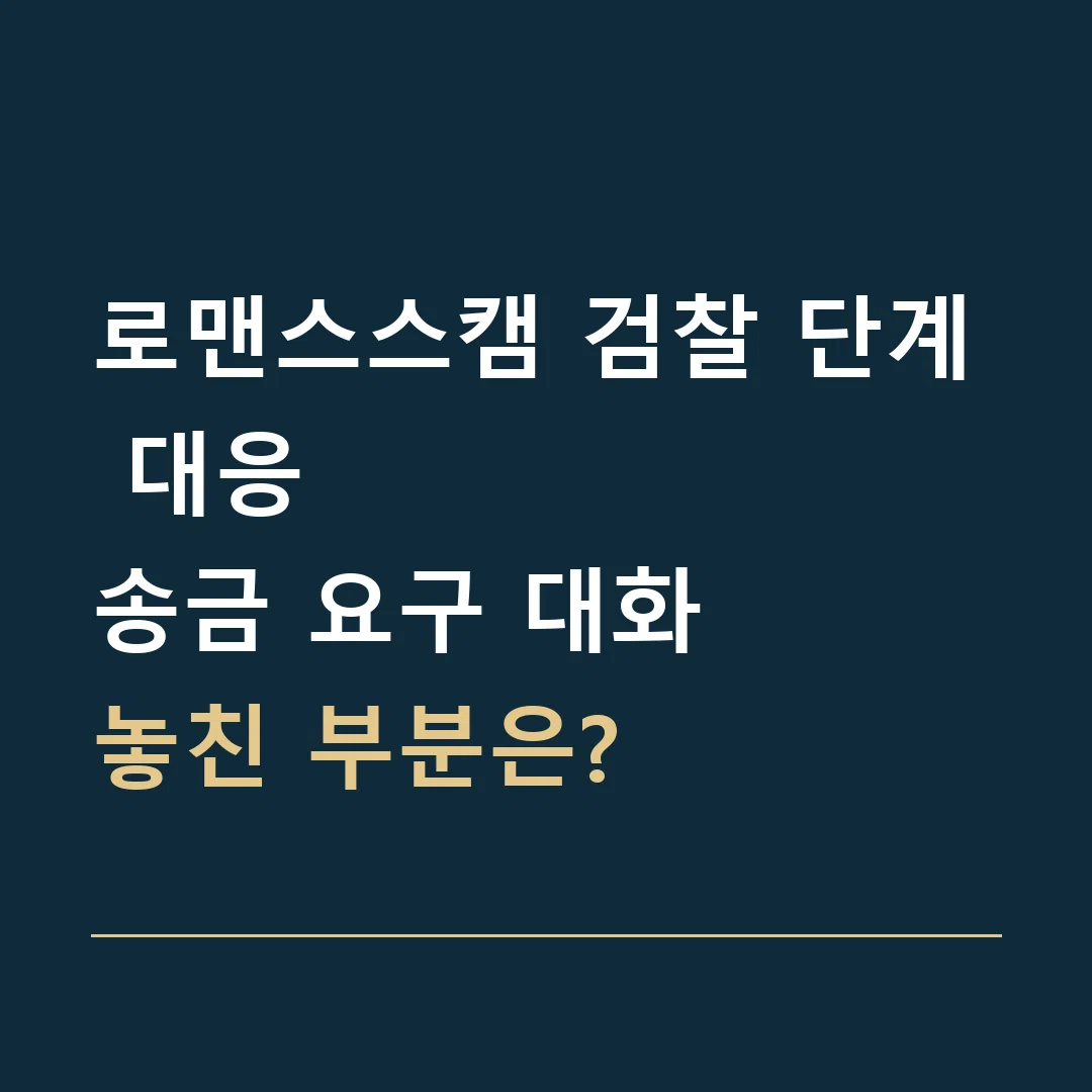 로맨스스캠 검찰 단계 대응 · 송금 요구 대화
놓친 부분은?
