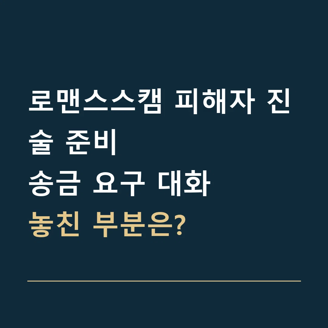 로맨스스캠 피해자 진술 준비 · 송금 요구 대화
놓친 부분은?