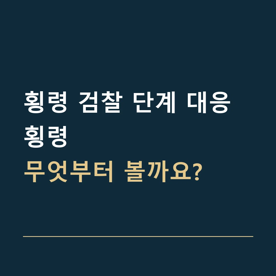 횡령 검찰 단계 대응 · 횡령
무엇부터 볼까요?