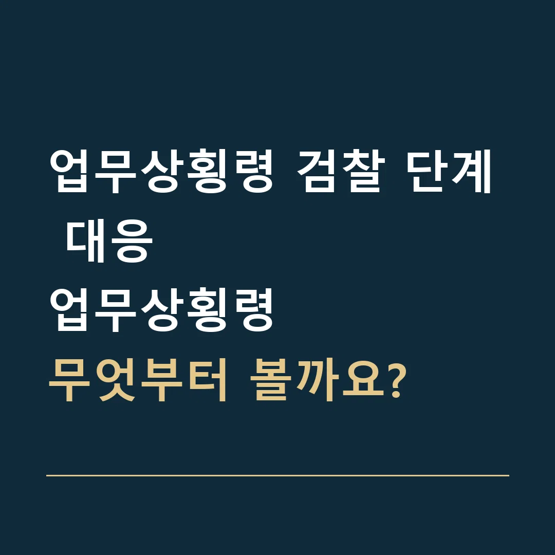 업무상횡령 검찰 단계 대응 · 업무상횡령
무엇부터 볼까요?