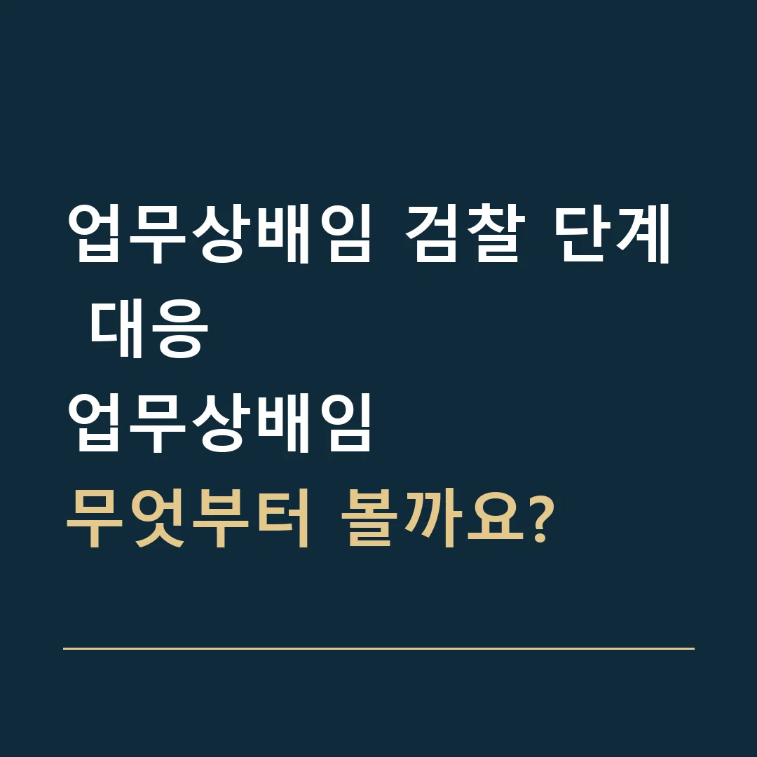 업무상배임 검찰 단계 대응 · 업무상배임
무엇부터 볼까요?