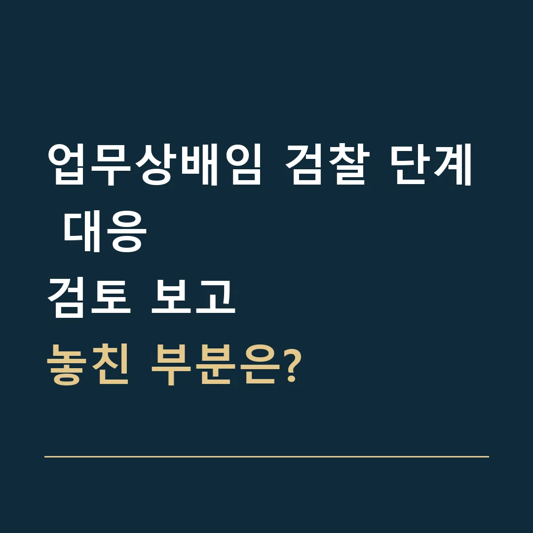 업무상배임 검찰 단계 대응 · 검토 보고
놓친 부분은?