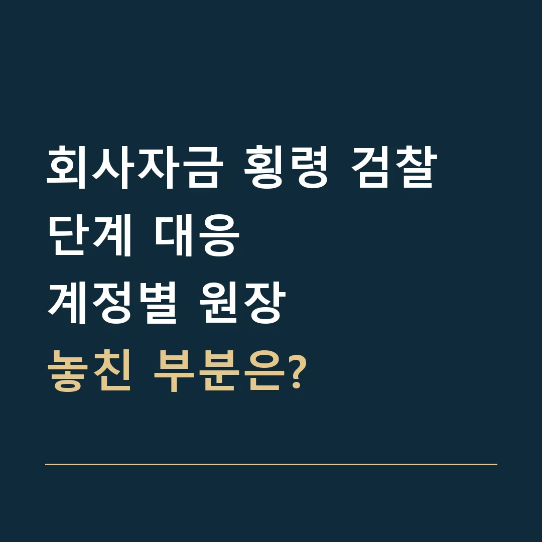 회사자금 횡령 검찰 단계 대응 · 계정별 원장
놓친 부분은?