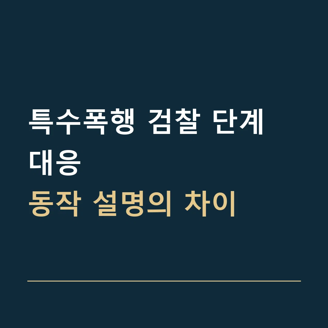 특수폭행 검찰 단계 대응 · 동작 설명의 차이