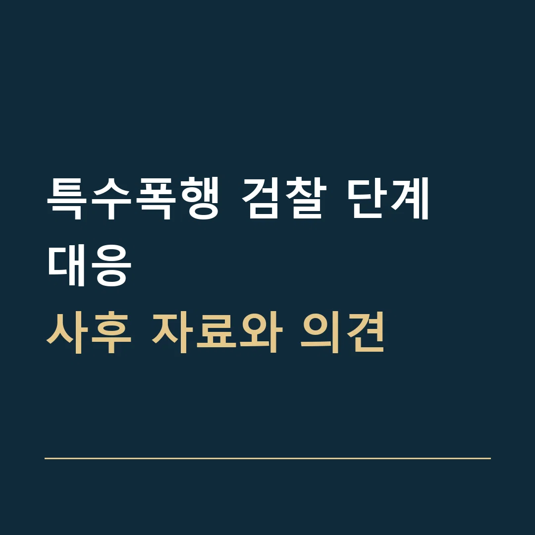 특수폭행 검찰 단계 대응 · 사후 자료와 의견