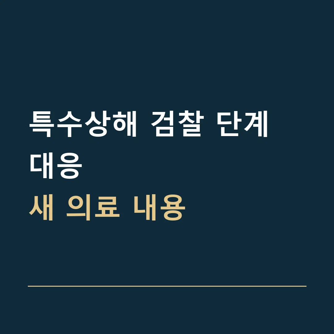 특수상해 검찰 단계 대응 · 새 의료 내용