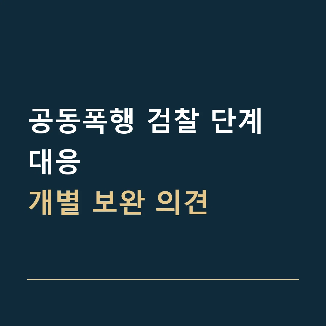 공동폭행 검찰 단계 대응 · 개별 보완 의견