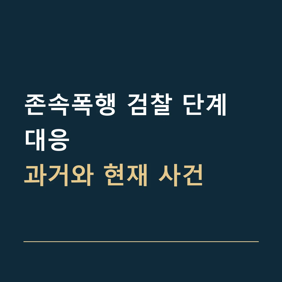 존속폭행 검찰 단계 대응 · 과거와 현재 사건