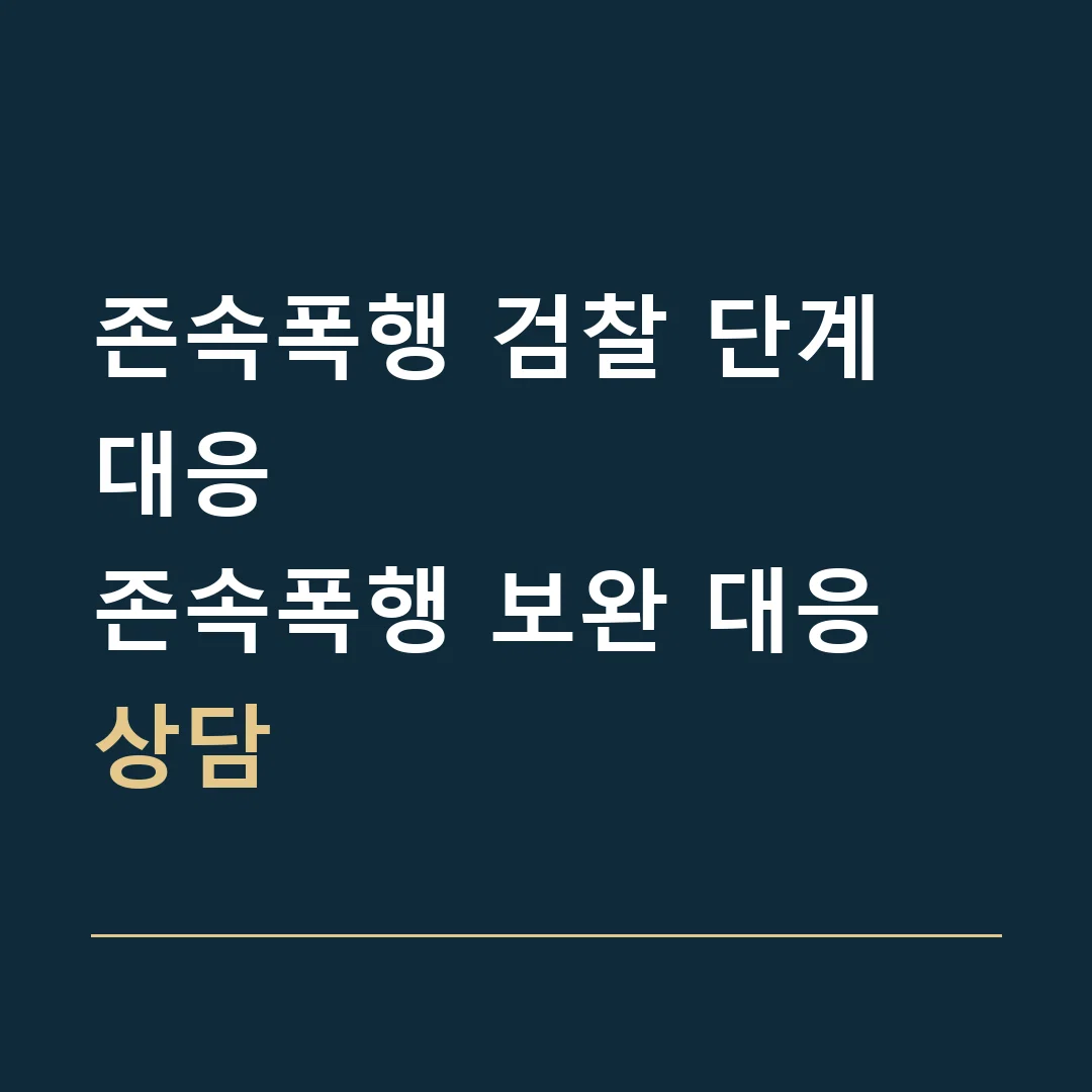 존속폭행 검찰 단계 대응 · 존속폭행 보완 대응 상담