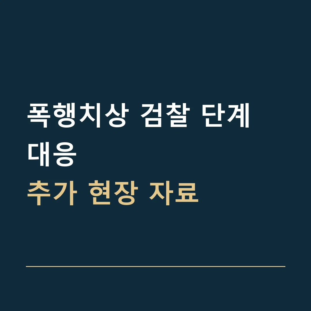 폭행치상 검찰 단계 대응 · 추가 현장 자료