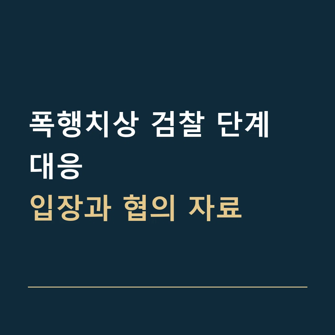 폭행치상 검찰 단계 대응 · 입장과 협의 자료
