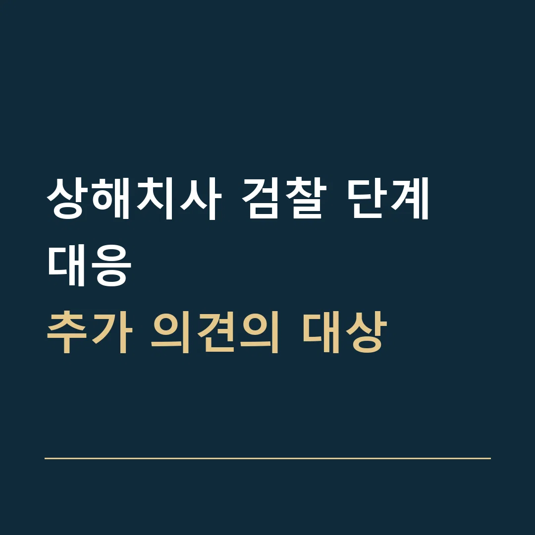 상해치사 검찰 단계 대응 · 추가 의견의 대상