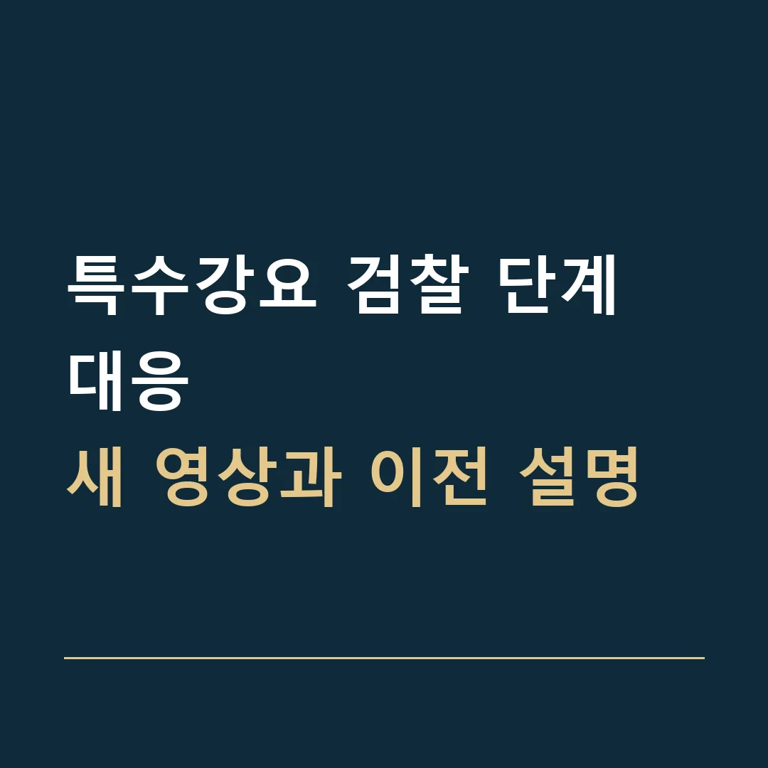 특수강요 검찰 단계 대응 · 새 영상과 이전 설명