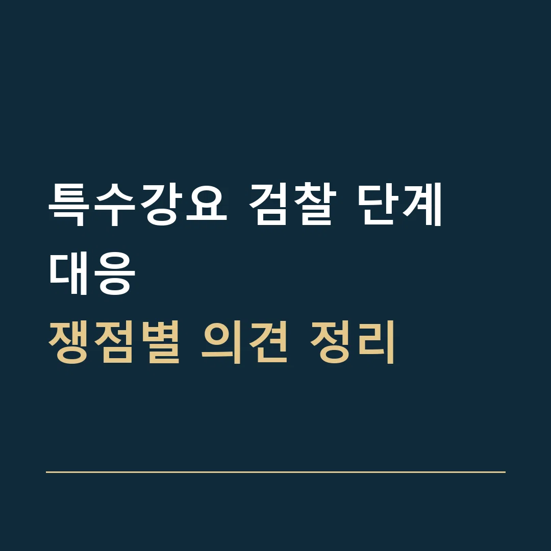 특수강요 검찰 단계 대응 · 쟁점별 의견 정리