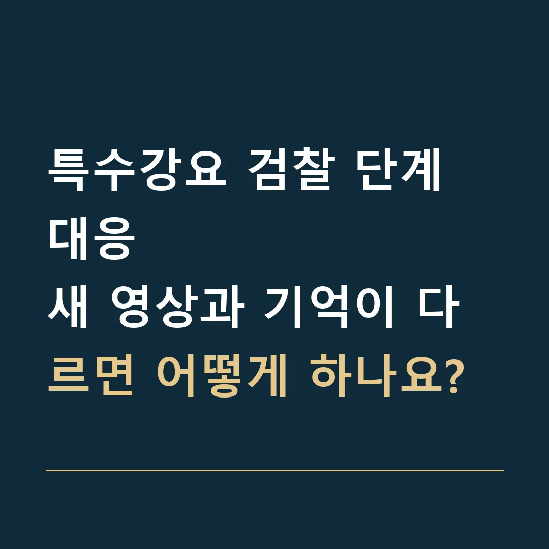 특수강요 검찰 단계 대응 · 새 영상과 기억이 다르면 어떻게 하나요?