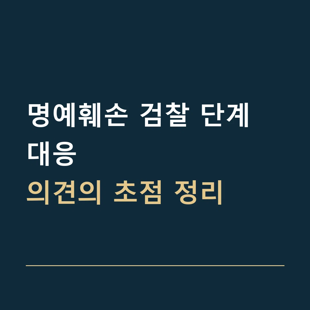 명예훼손 검찰 단계 대응 · 의견의 초점 정리
