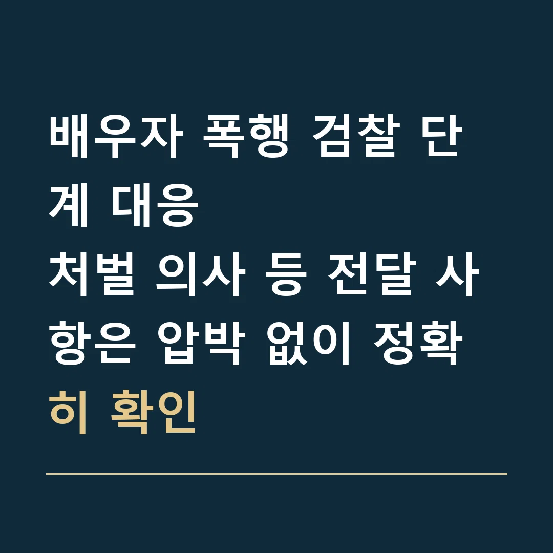 배우자 폭행 검찰 단계 대응 · 처벌 의사 등 전달 사항은 압박 없이 정확히 확인